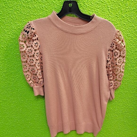 Elegant Pink Lace Sleeve Sweater - Picture 1 of 3